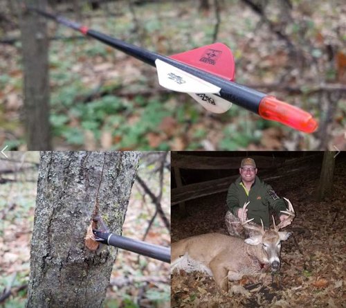 buck1.jpg buck1.jpg