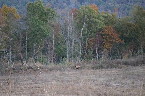 IMG_1787.JPG IMG_1787.JPG