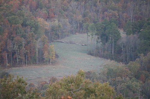 IMG_1802.JPG IMG_1802.JPG
