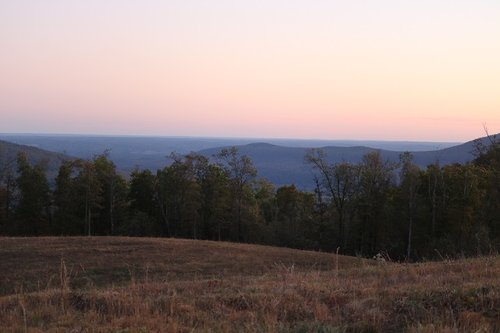 IMG_1775.JPG IMG_1775.JPG