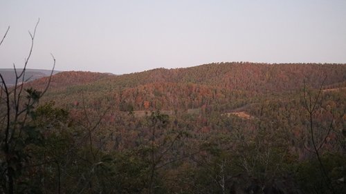 IMG_1774.JPG IMG_1774.JPG