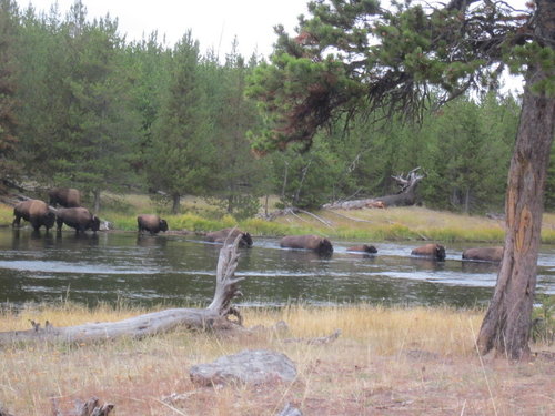 1-IMG_2880.JPG 1-IMG_2880.JPG