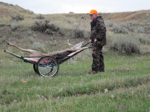 3-IMG_2903.JPG 3-IMG_2903.JPG