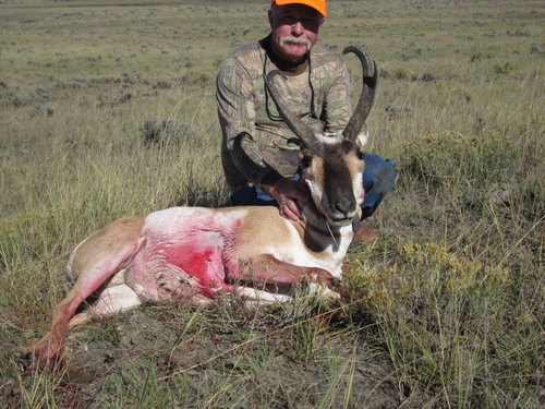 5-IMG_2931.JPG 5-IMG_2931.JPG