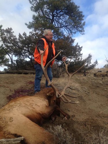 2017 dads bull.jpg 2017 dads bull.jpg