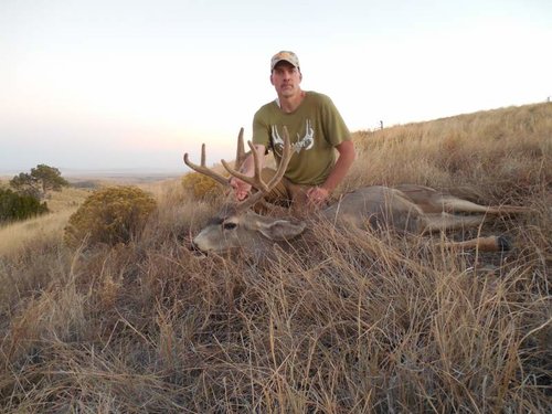 Buck2.jpg Buck2.jpg