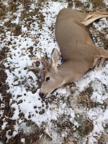 IMG_0050.jpg IMG_0050.jpg