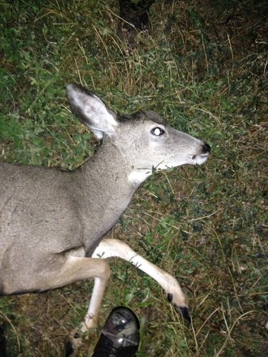 IMG_0051.jpg IMG_0051.jpg