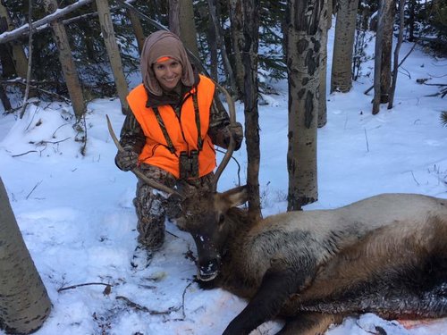 Anastasia's Bull 2017.jpg Anastasia's Bull 2017.jpg