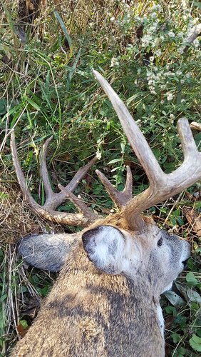 20171109_082750.jpg 20171109_082750.jpg