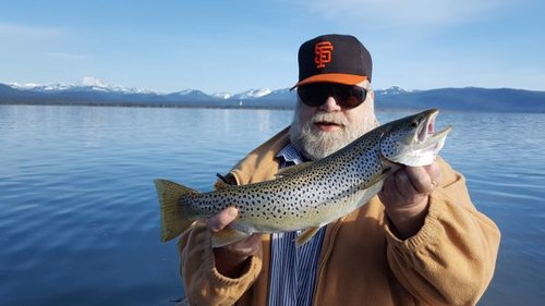 almanor 4 17 w larry.jpg almanor 4 17 w larry.jpg