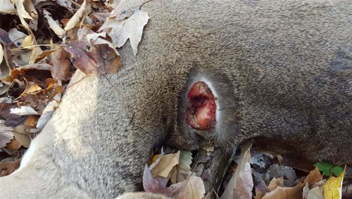 20161112_095046 (Medium).jpg