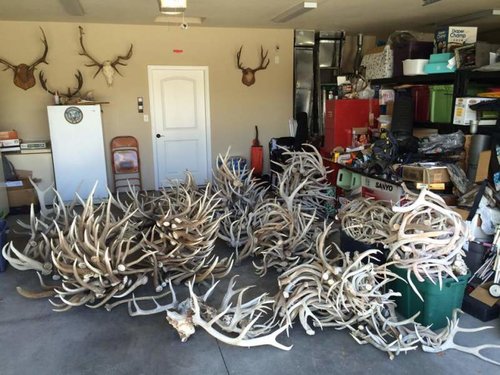 sheds.jpg sheds.jpg