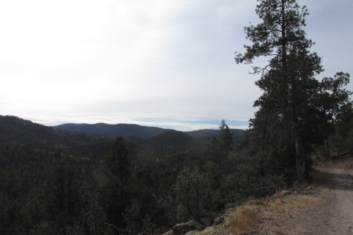 gila 17 009.JPG gila 17 009.JPG