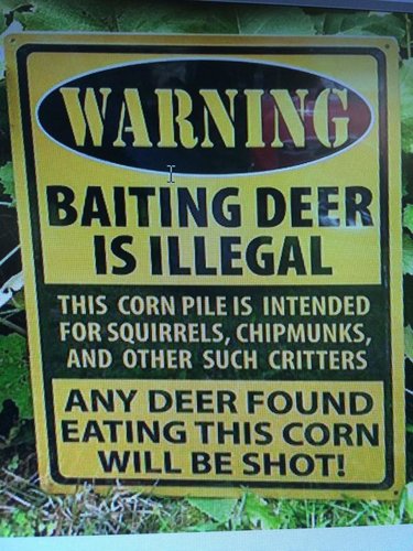 IMG_0613.jpg IMG_0613.jpg
