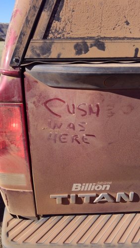 cush.jpg cush.jpg