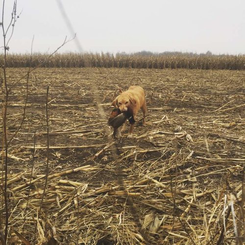 IMG_2970.jpg IMG_2970.jpg