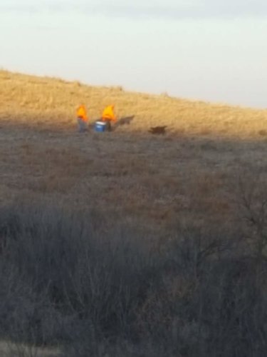 20171118_074402 - Copy2.jpg