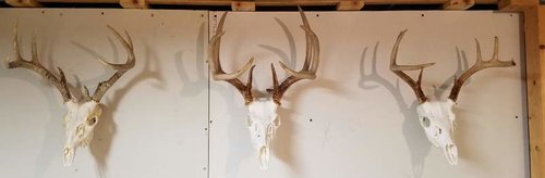20170110_170957.jpg
