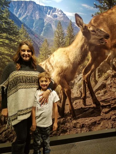 elk photo.jpg elk photo.jpg