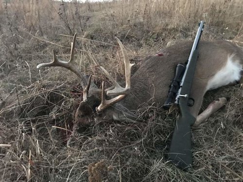 Ripley Buck 2017.jpg Ripley Buck 2017.jpg