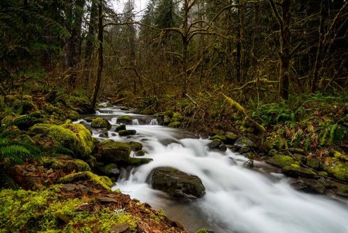 DSC_6147-1.jpg