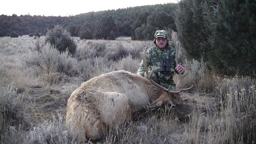 dads elk.jpg