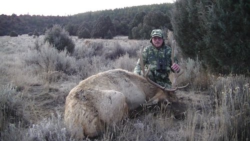 dads elk.jpg dads elk.jpg