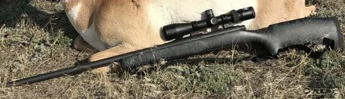 Rifle.jpg Rifle.jpg