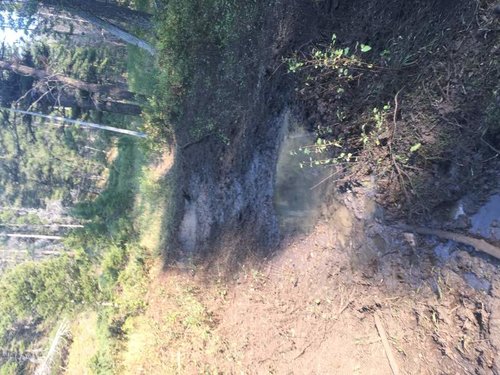 IMG_0607.jpg IMG_0607.jpg