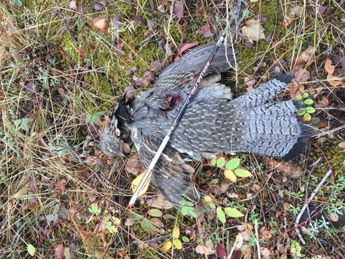 IMG_0639.jpg IMG_0639.jpg