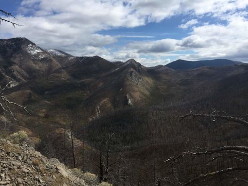 IMG_0666.jpg IMG_0666.jpg