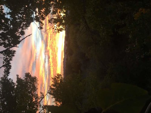 IMG_0681.jpg IMG_0681.jpg