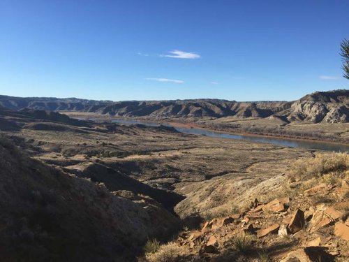 IMG_0777.jpg IMG_0777.jpg