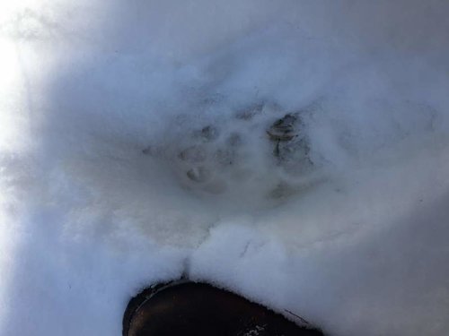 IMG_0873.jpg IMG_0873.jpg