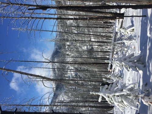 IMG_0874.jpg IMG_0874.jpg