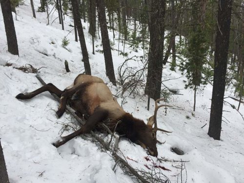 IMG_0930.jpg IMG_0930.jpg