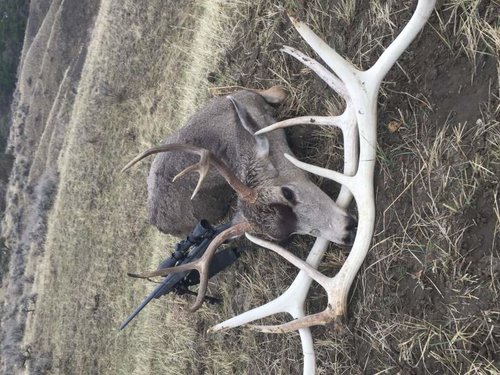 IMG_0860.jpg IMG_0860.jpg