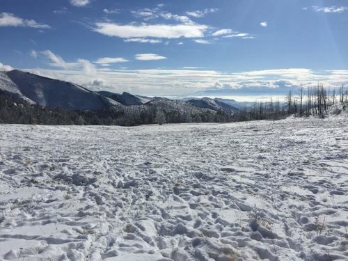 IMG_0876.jpg IMG_0876.jpg