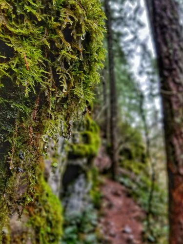 20171130_094917-01.jpg 20171130_094917-01.jpg