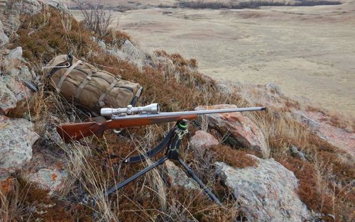 rifle.jpg