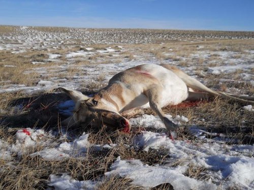 DSCN1240 (1024x768).jpg