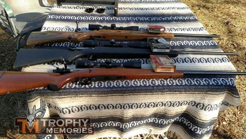 IMG_20171210_124046955.jpg IMG_20171210_124046955.jpg