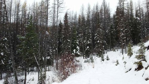 1111171012_Burst01.jpg 1111171012_Burst01.jpg