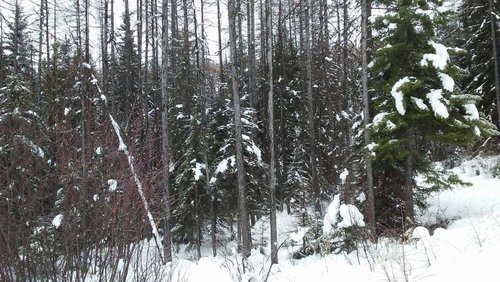 1111171012.jpg 1111171012.jpg