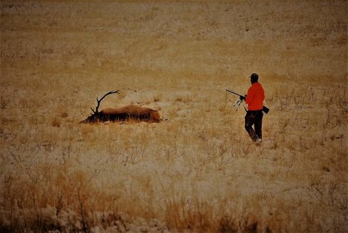 DSC_0434 (4).jpg DSC_0434 (4).jpg