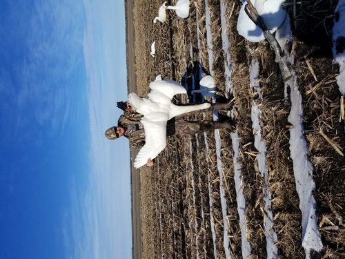 20180108_142827(0).jpg 20180108_142827(0).jpg