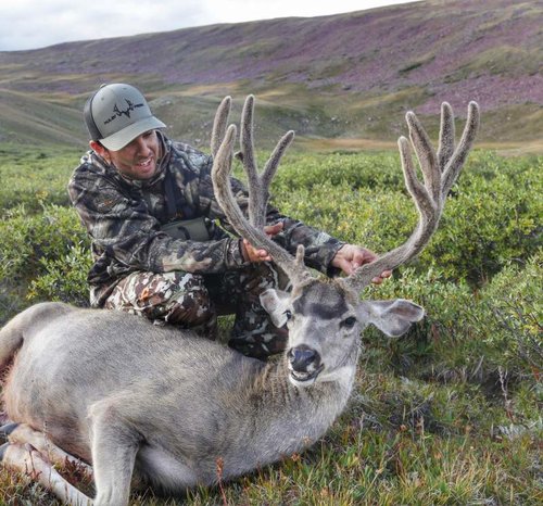 Muley2.jpg