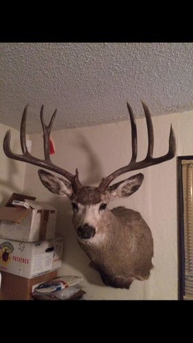 IMG_6968.jpg IMG_6968.jpg