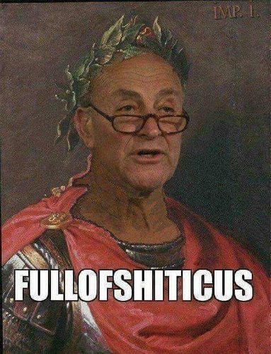 shiticus.jpg shiticus.jpg